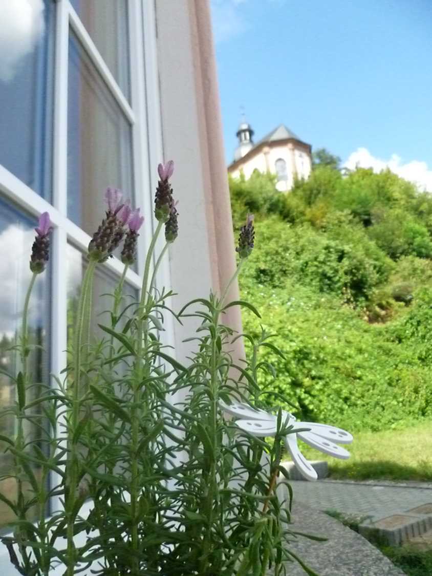 Biosphärenreservat Bliesgau Ferienwohnung Blieskastel-Altstadt, am Erker mit Blick auf das Klsoter in Blieskastel